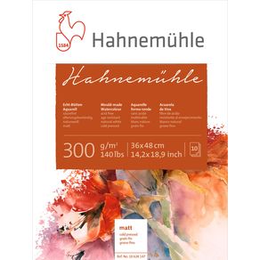 10628147-_Hahnemuehle-10628147-36x48-lpr