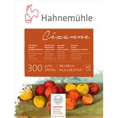 10628367_Hahnemuhle-Cezanne-Aquarell-300g-satiniert-lpr