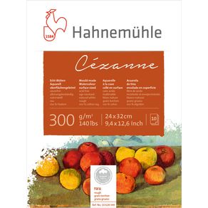 10628349_Hahnemuhle-Cezanne-Aquarell-300g-rau