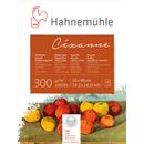10628351_Hahnemuhle-Cezanne-Aquarell-300g-rau-lpr