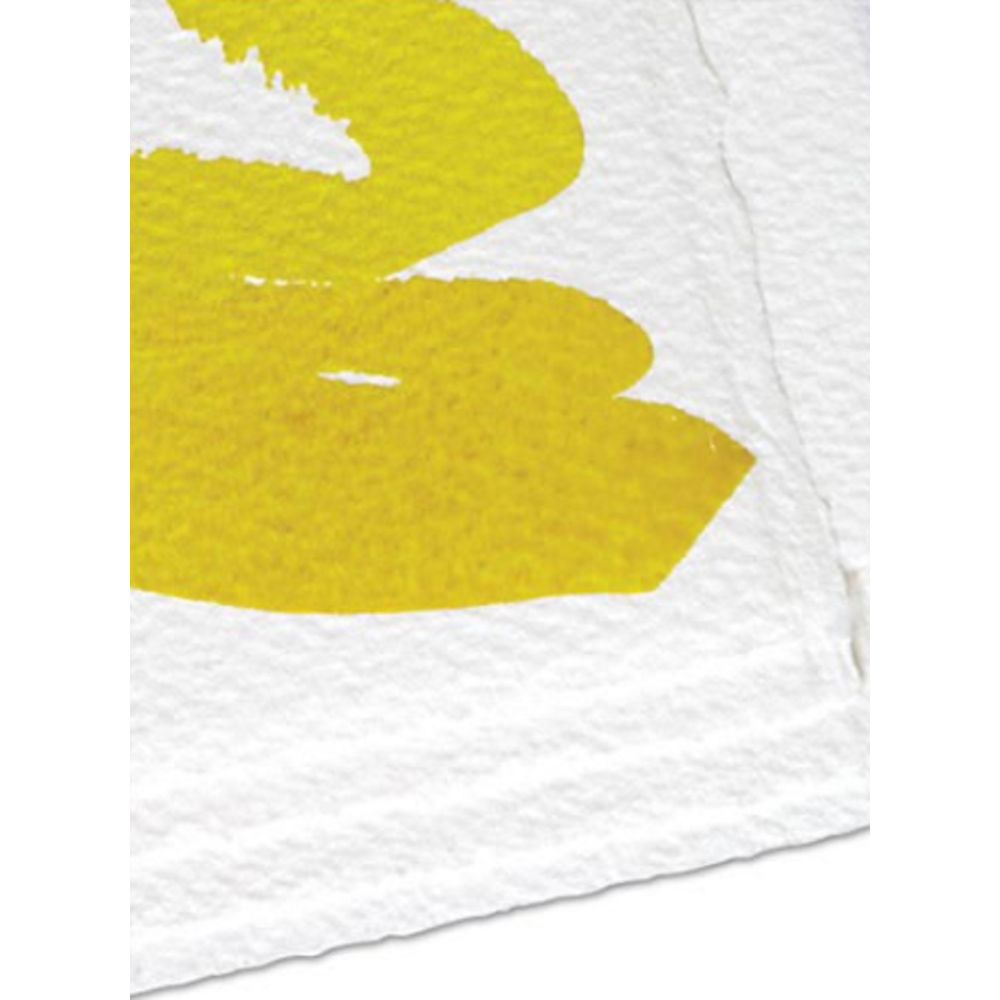 Materiais Belas Artes - Papel calco Amarelo, 21x33 cm
