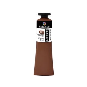 7899103580679_557-acrilica-talento-20ml