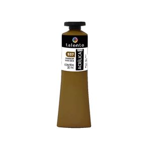7899103580495_537-acrilica-talento-20ml