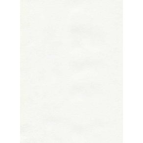 Papel-Ingres-Branco-Hahnemuhle_Branco Papel-Ingres-Branco-Hahnemuhle_Branco