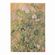 9781439797884-CADERNETA-PAUTADA-MD-CEZANNES-TERRACOTTA_TRAS