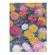 9781439797129-CADERNETA-PAUTADA-ULTRA-MONETS-CHRYSANTH_FRENTE