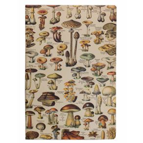 7893098290032_Caderneta-Pontilhada-Folk 7893098290032_Caderneta-Pontilhada-Folk