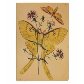 7893098290100_Caderneta-Pontilhada-Folk 7893098290100_Caderneta-Pontilhada-Folk