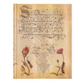 9781439781739-CADERNETA-PAUTADA-ULTRA-FLEMINSH-ROSE-FRENTE 9781439781739-CADERNETA-PAUTADA-ULTRA-FLEMINSH-ROSE-FRENTE